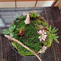 ＫＥＩＴＡクラス　花のランドスケープ　山口作品