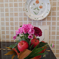 ののはな文京保育園　　花クラブの作品