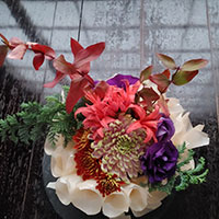 木のラップを使用したデザイン