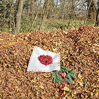 フイールドワーク　枯葉のクリスマス