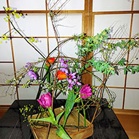 脊黒講師　研究科作品