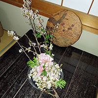 桜に花を生ける　景太クラスに出席