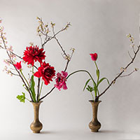 講師研究科　1級　鈴木講師作品