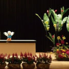 国体スポーツ祭‘ゆりーと君がマスコット！