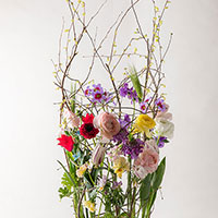 講師研究科　2級　松田講師作品