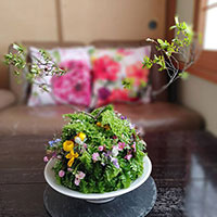 小山のランドスケープ　山口作品