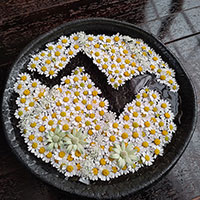 研究科　脊黒講師作品