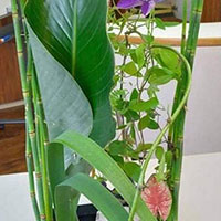 パーソナル岡田先生のレッスン　山口作品