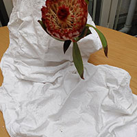 石膏を使用したデザイン　松田講師作品