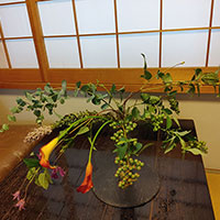 テーマ　しだれる　鈴木講師作品