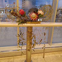 南アフリカのキングプロティアと竹のデザイン