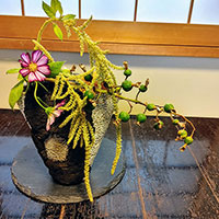 植物と黒土のデザイン　鈴木講師作品