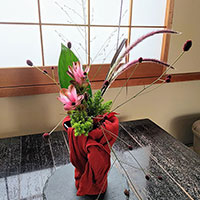 植物と風呂敷のデザイン　松田講師作品