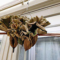 蓮の葉の造形　松田講師作品