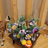 花の木保育園さん　フレグランスボケー