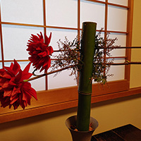 吉田　プログレス生　の作品