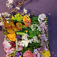 花幕の内のデザイン　KEITAクラス　山口作品