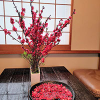 花モモのデザイン　　研究科　鈴木講師作品