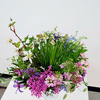 リビストニアに春の花々　KEITAクラス受講　山口作品