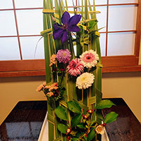 緑のメッシュ　花くばりアドバンスクラス