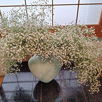 カスミ草の一種の花のデザイン（フィラフラワー）