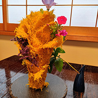 干し菊の造形　　脊黒講師作品