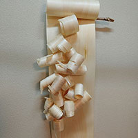 研究科　木の構成Ⅲ　脊黒講師作品