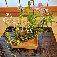 花くばり　風になびいて　ススキのくばり