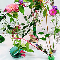 初秋の花がエンドレス　山口作品