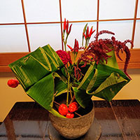 バショウのくばり　　松田講師作品