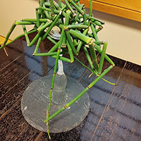 トクサの構成　　脊黒作品