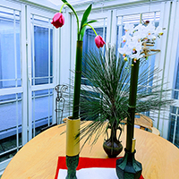 我が家のお正月のデザイン