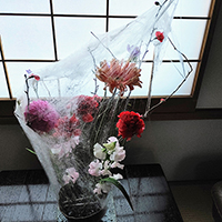 真綿のデザイン