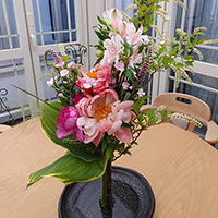 すっくと立つボケー　　荒井作品