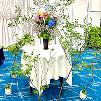 チャリティコンサートの花を制作