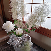 植物と金属　アルミホイル　脊黒講師作品