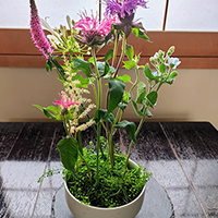 ナズナを花くばりに　松下講師作品