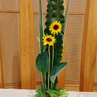 花の木保育園のヒマワリのアレンジ