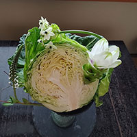植物と野菜（キャベツ）脊黒作品