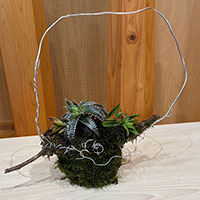 サキュレント　ガーデン　のデザイン