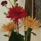 西田ビギニング生作品です