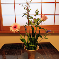 葉のピック　吉田作品　町田山口美知子