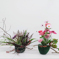 探求科作品「二つのデザイン一つの容(かたち)」山口美知子作品