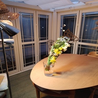 シダレ柳を編みこんでボケーに  町田 山口美知子