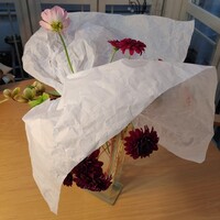 植物とトレッシングペーパーのデザイン　松田講師作品