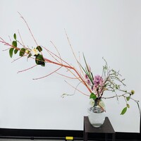 探究科作品　町田　山口美知子