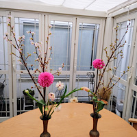 桜のデザイン　松田講師作品