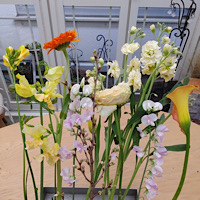 春の花で！　吉田作品