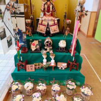 花の木保育園のお誕生日の花　山口美知子