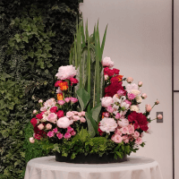 新緑に花が集う